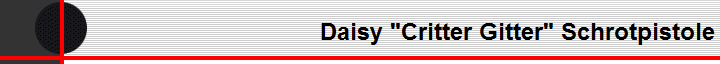 Daisy 