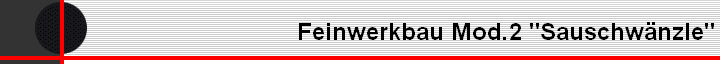 Feinwerkbau Mod.2 