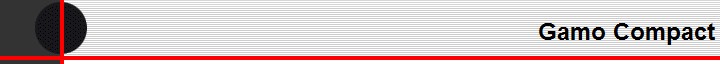 Gamo Compact