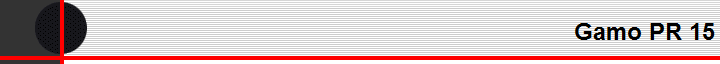 Gamo PR 15