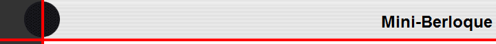 Mini-Berloque