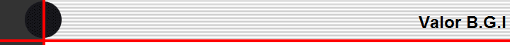 Valor B.G.I