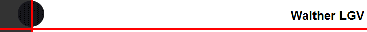 Walther LGV